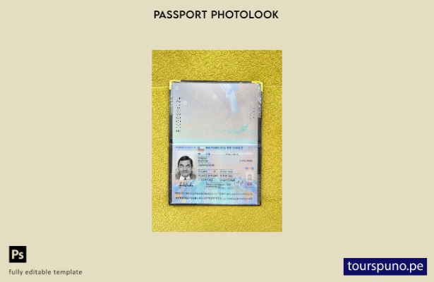 listo para imprimir la plantilla de presentación fotográfica del pasaporte de Ch